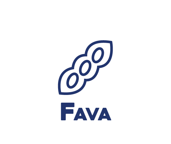 Fava